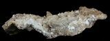 Calcite & Aragonite Stalactite Formation #61222-2